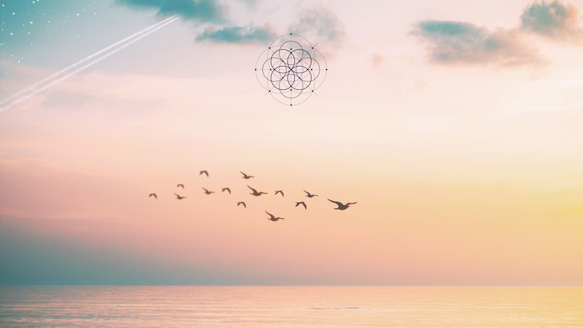 Photo aux couleurs pastels d'un coucher de soleil sur la mer (calme) avec des oiseaux qui volent dans le ciel et un motif de la rose en géométrie sacrée invitant le regroupement d'articles sur l'astrologie chinoise